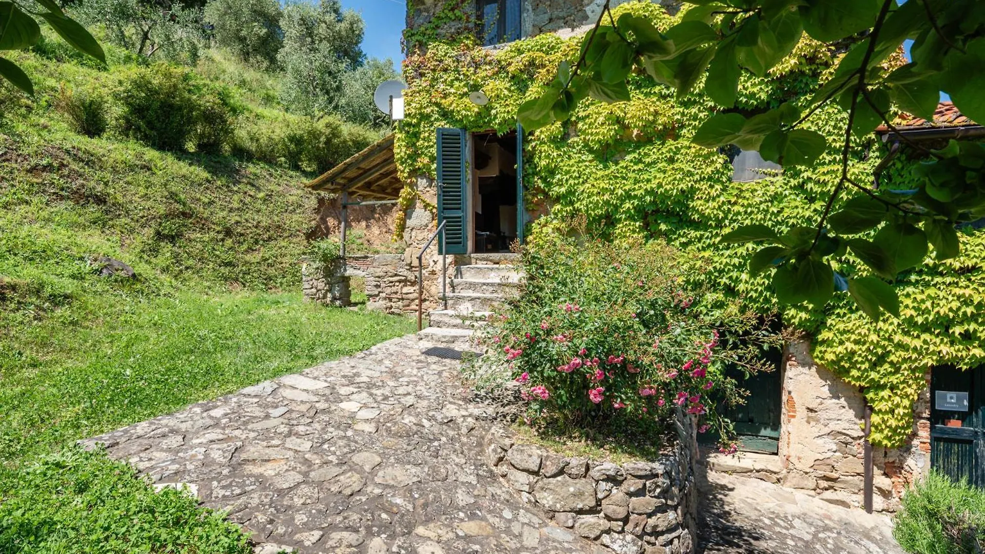 Fattoria Di Pietrabuona Villa Medicina