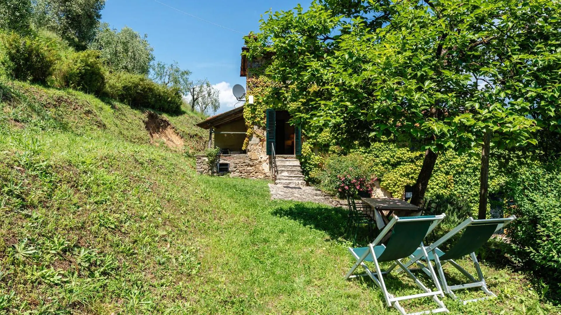 Fattoria Di Pietrabuona Villa Medicina 0*,
